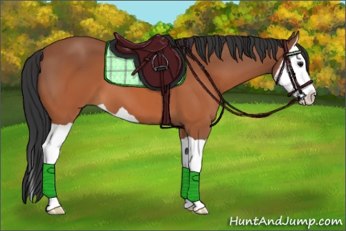 Horse Color:Bay Splash 