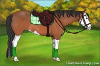 Horse Color:Bay Splash 