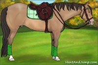 Horse Color:Amber Champagne 