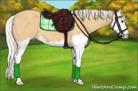 Horse Color:Palomino Splash 