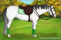 Horse Color:White Spotted Bay Splash 