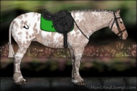 Horse Color:Silver Bay Ice Roan Blanket 