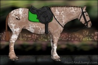 Horse Color:Chestnut Ice 