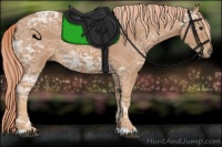 Horse Color:Chestnut Ice 