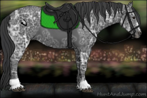 Horse Color:Black Ice Sabino 