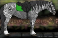 Horse Color:Black Ice Sabino