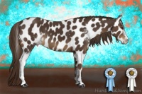 Horse Color:Liver Chestnut Sabino Near Leopard 
