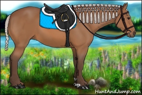 Horse Color:Silver Bay 