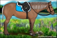 Horse Color:Silver Bay 