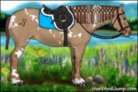 Horse Color:White Spotted Red Dun 