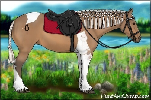 Horse Color:Silver Buckskin Tobiano 