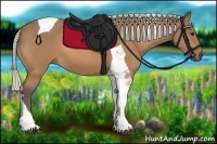 Horse Color:Silver Buckskin Tobiano 