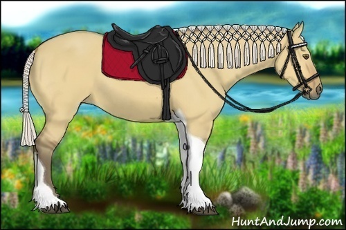 Horse Color:Silver Buckskin Dun Tobiano 