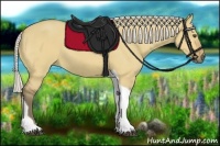 Horse Color:Silver Buckskin Dun Tobiano