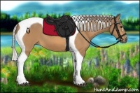 Horse Color:Silver Buckskin Tobiano 