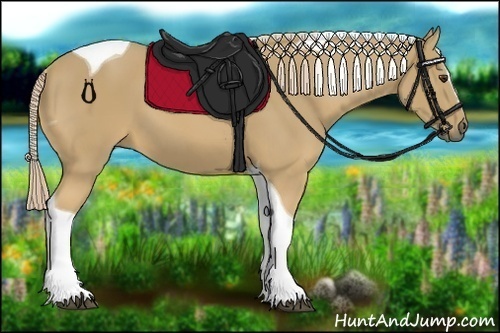 Horse Color:Palomino Sabino Tobiano 