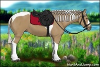 Horse Color:Silver Buckskin Tobiano 