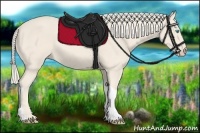 Horse Color:Cremello Tobiano