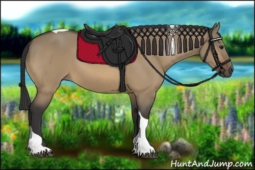 Horse Color:Buckskin Dun Tobiano 
