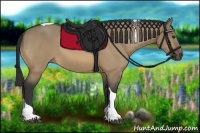 Horse Color:Buckskin Dun Tobiano