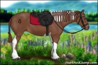 Horse Color:Chestnut Tobiano