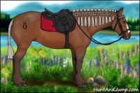 Horse Color:Silver Bay