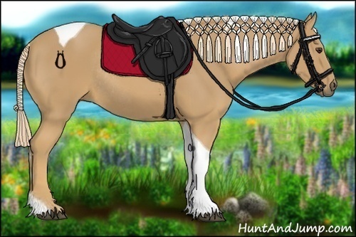 Horse Color:Palomino Tobiano Rabicano 