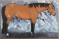 Horse Color:Bay Sabino 
