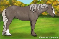 Horse Color:Silver Black 