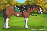 Horse Color:Bay Splash Frame