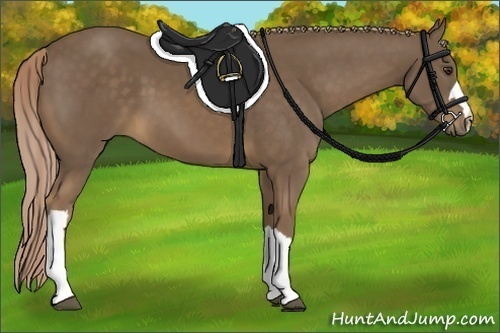 Horse Color:Chocolate Palomino 