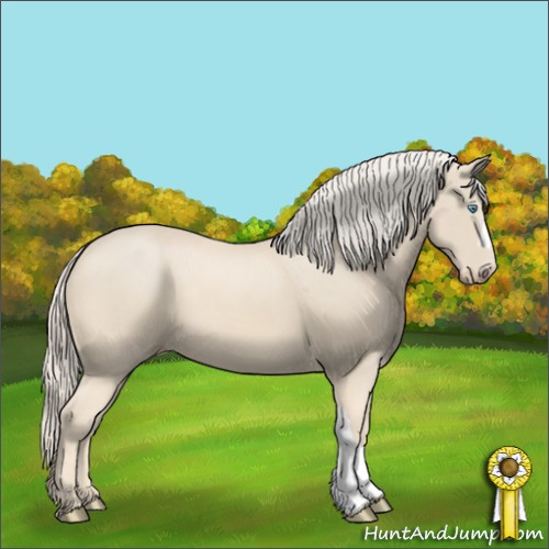 Horse Color:Cremello 