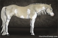 Horse Color:Chocolate Palomino Splash