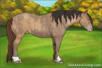Horse Color:Amber Champagne Appaloosa  and Classic Champagne Tobiano 