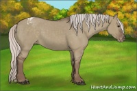 Horse Color:Silver Grullo Varnish 