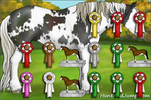 Horse Color:White Spotted Liver Chestnut Splash 