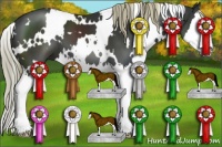 Horse Color:White Spotted Liver Chestnut Splash 