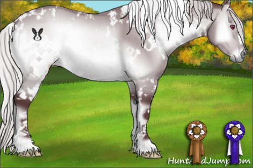 Horse Color:White Spotted Chocolate Silver Brown Chinchilla Onyx