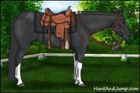 Horse Color:Black Tobiano Rabicano