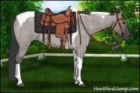 Horse Color:Grullo Roan Tobiano
