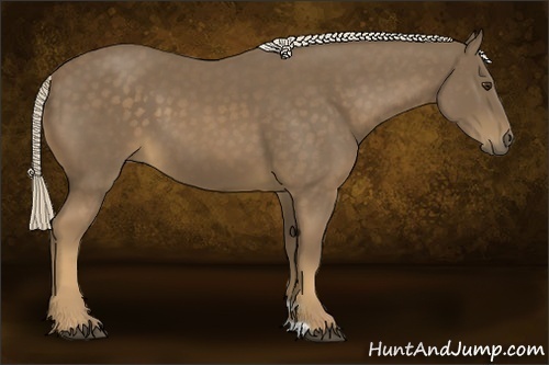 Horse Color:Chocolate Palomino 