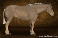 Horse Color:Chocolate Palomino 