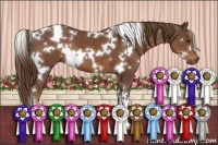 Horse Color:White Spotted Liver Chestnut 