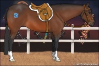 Horse Color:Brown 