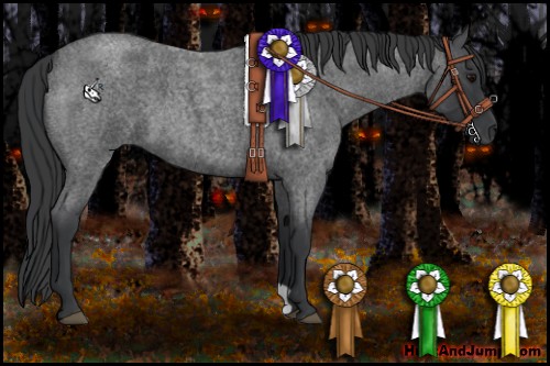 Horse Color:Blue Roan