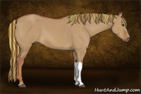 Horse Color:Painted Red Dun 