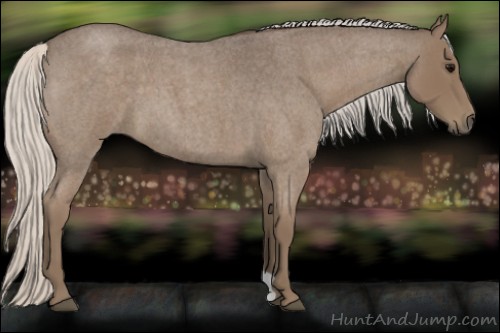 Horse Color:Silver Blue Roan 
