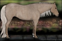 Horse Color:Silver Blue Roan