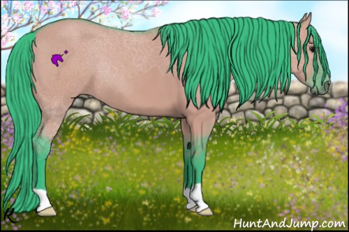 Horse Color:Watercolor Grullo 
