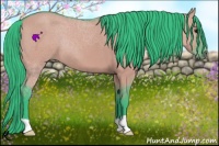 Horse Color:Watercolor Grullo 